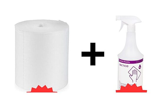 BACTICID 1L + DRY Wipes N600 — Surface Disinfection Kit