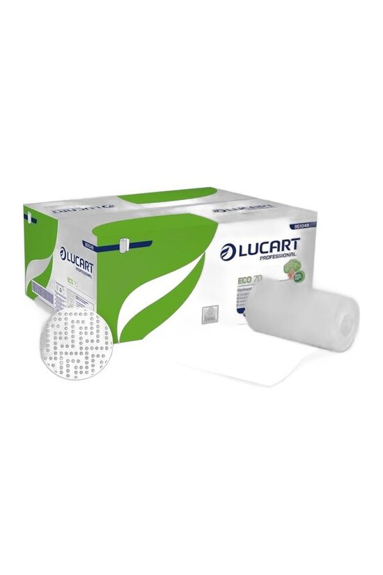 Lucart Eco 70 paper hand towel rolls (2-ply, 70 m), 12 rolls